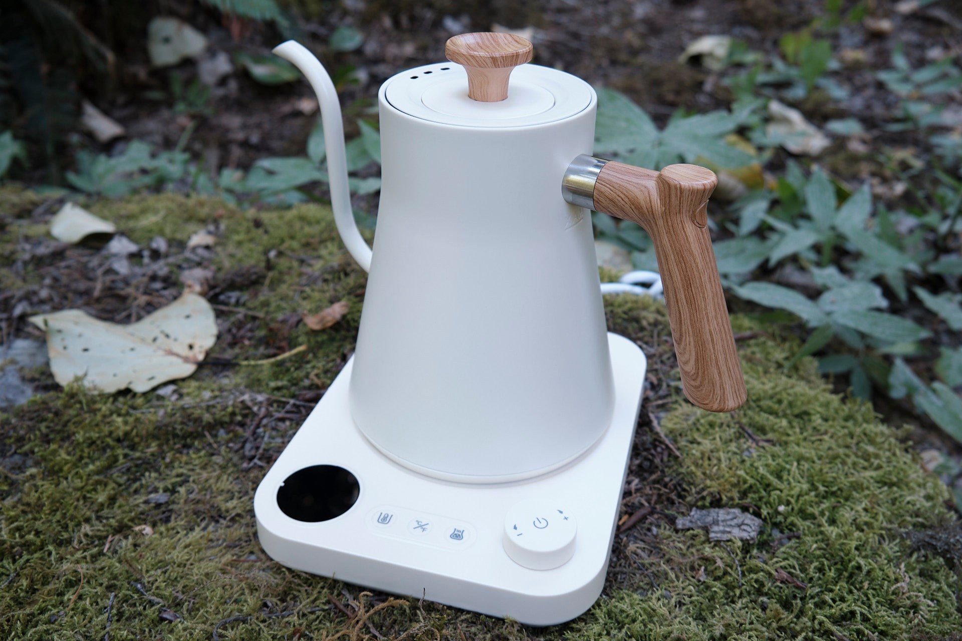 Hazelmoss Woods Electric Gooseneck Kettle